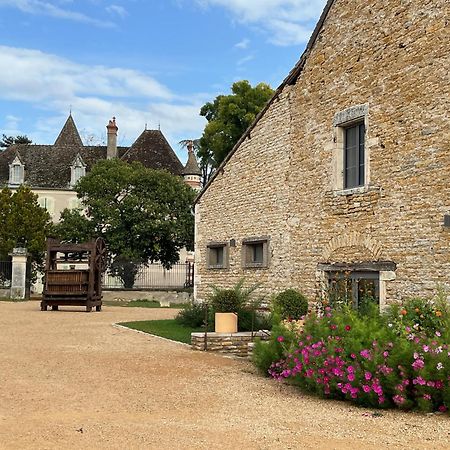 Chateau Du Mauny, Gites Et Chambres D'Hotes En Bourgogne Rosey 外观 照片