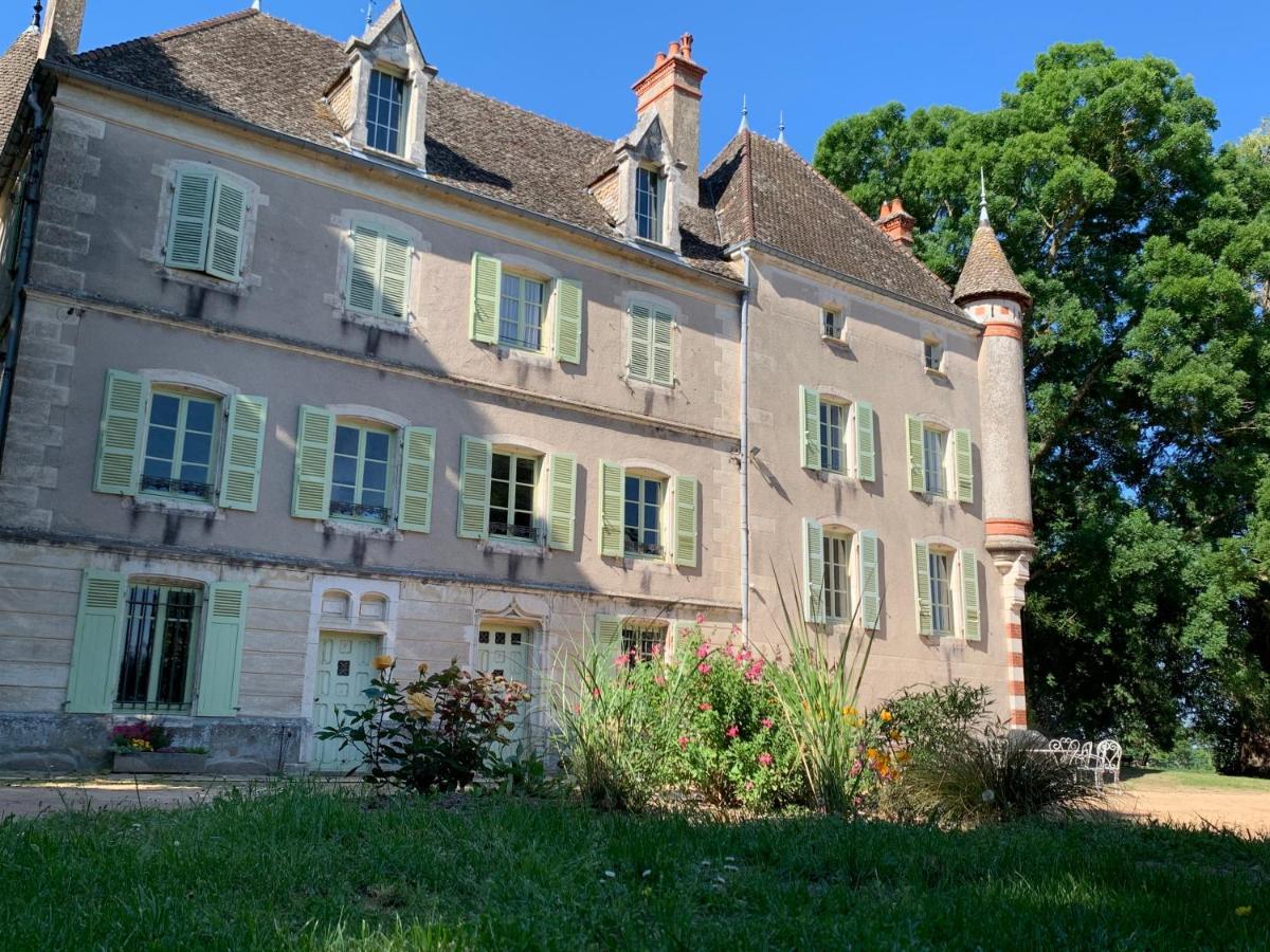 Chateau Du Mauny, Gites Et Chambres D'Hotes En Bourgogne Rosey 外观 照片