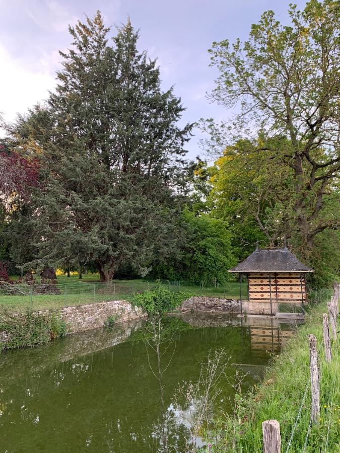 Chateau Du Mauny, Gites Et Chambres D'Hotes En Bourgogne Rosey 外观 照片