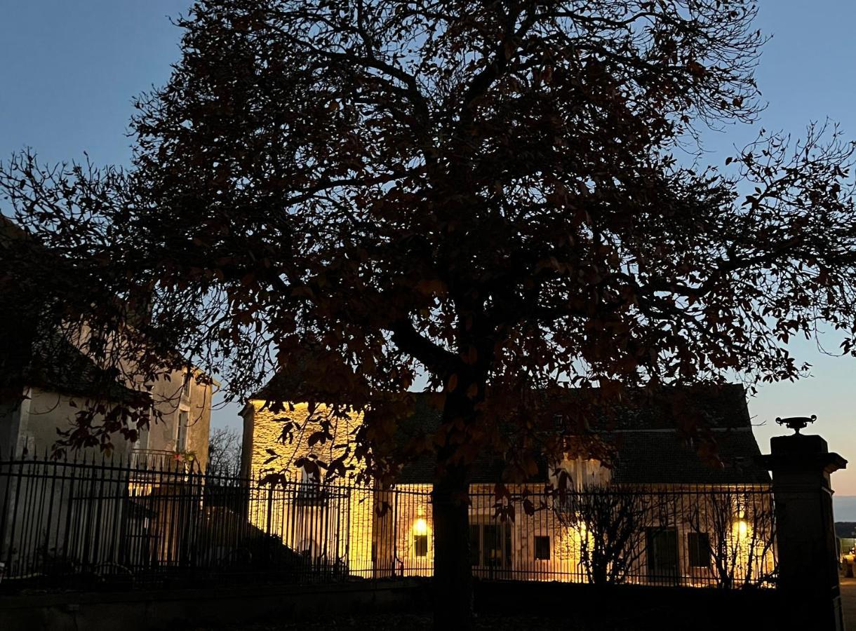 Chateau Du Mauny, Gites Et Chambres D'Hotes En Bourgogne Rosey 外观 照片