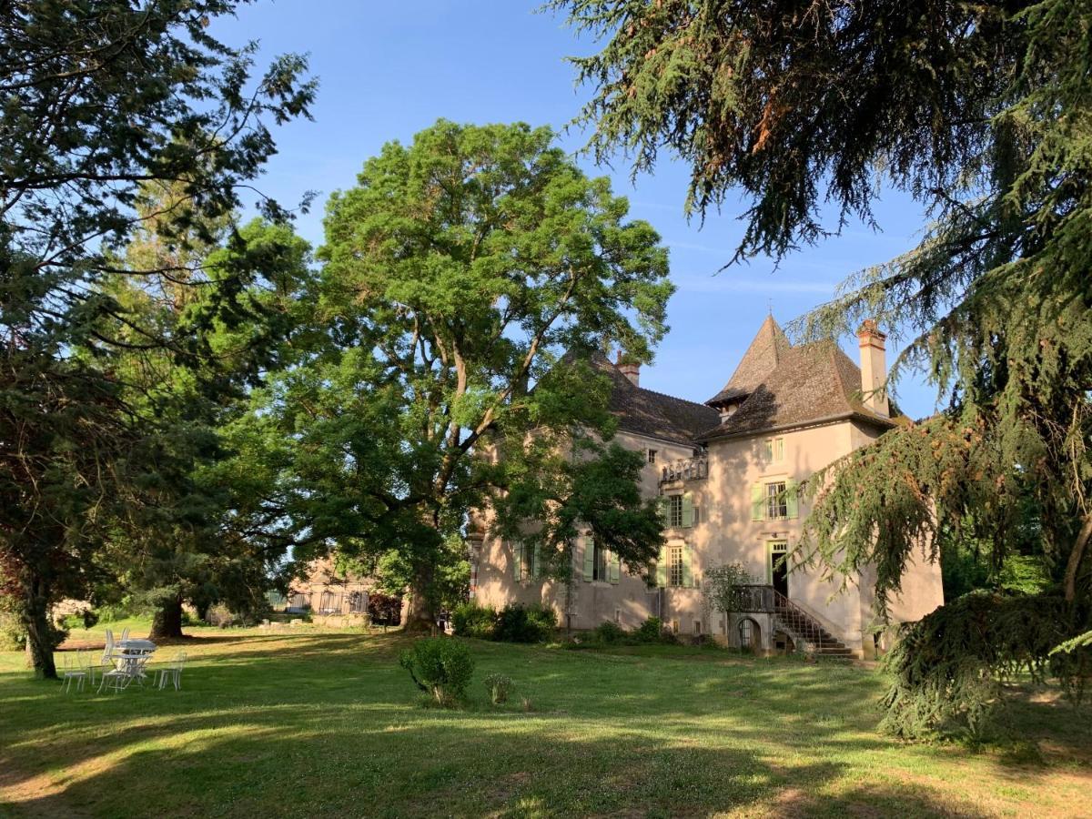 Chateau Du Mauny, Gites Et Chambres D'Hotes En Bourgogne Rosey 外观 照片