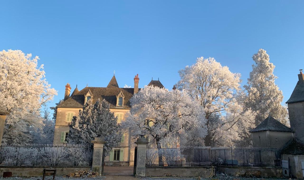 Chateau Du Mauny, Gites Et Chambres D'Hotes En Bourgogne Rosey 外观 照片