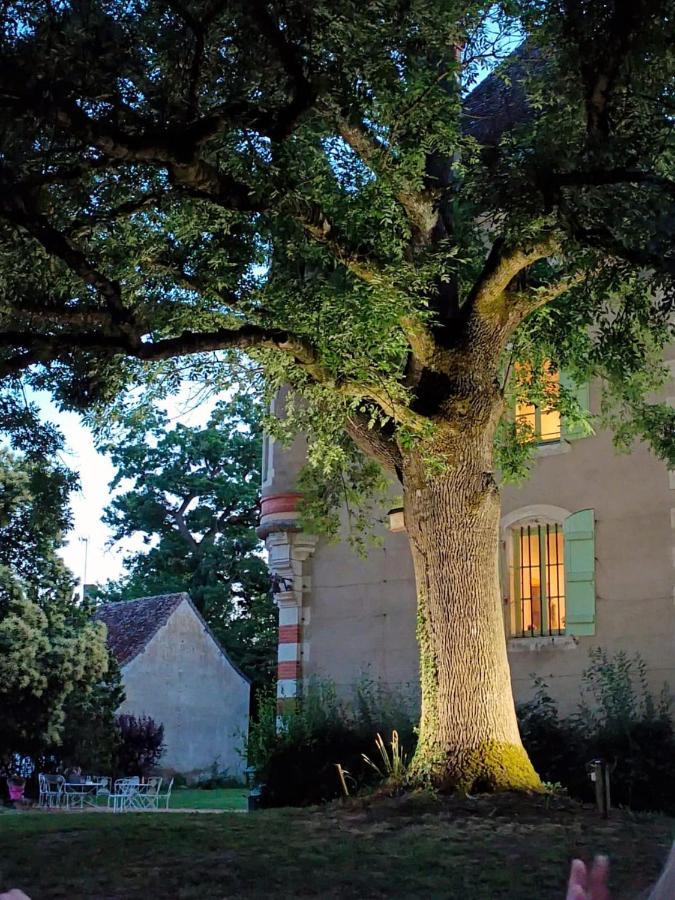 Chateau Du Mauny, Gites Et Chambres D'Hotes En Bourgogne Rosey 外观 照片