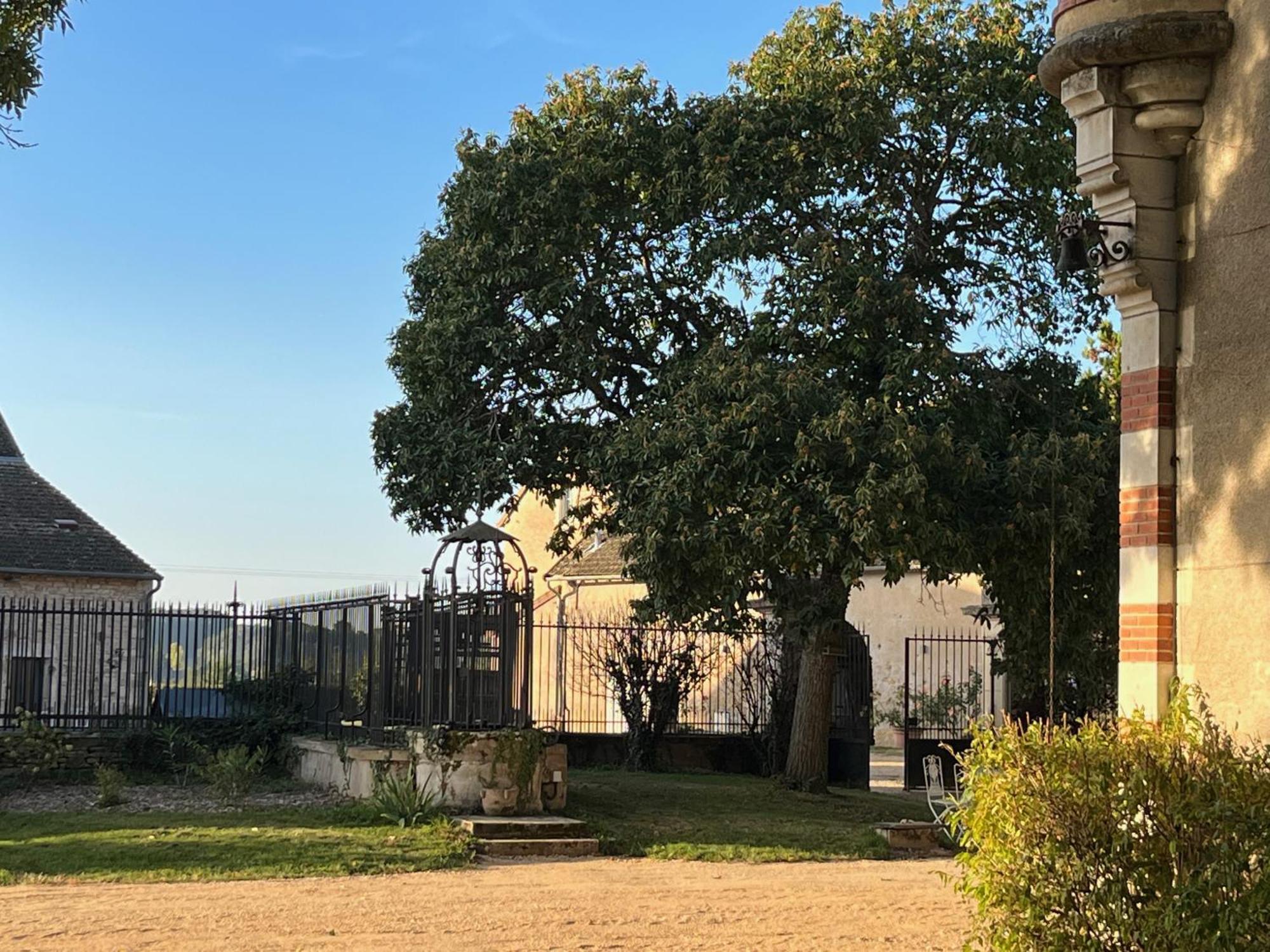 Chateau Du Mauny, Gites Et Chambres D'Hotes En Bourgogne Rosey 外观 照片