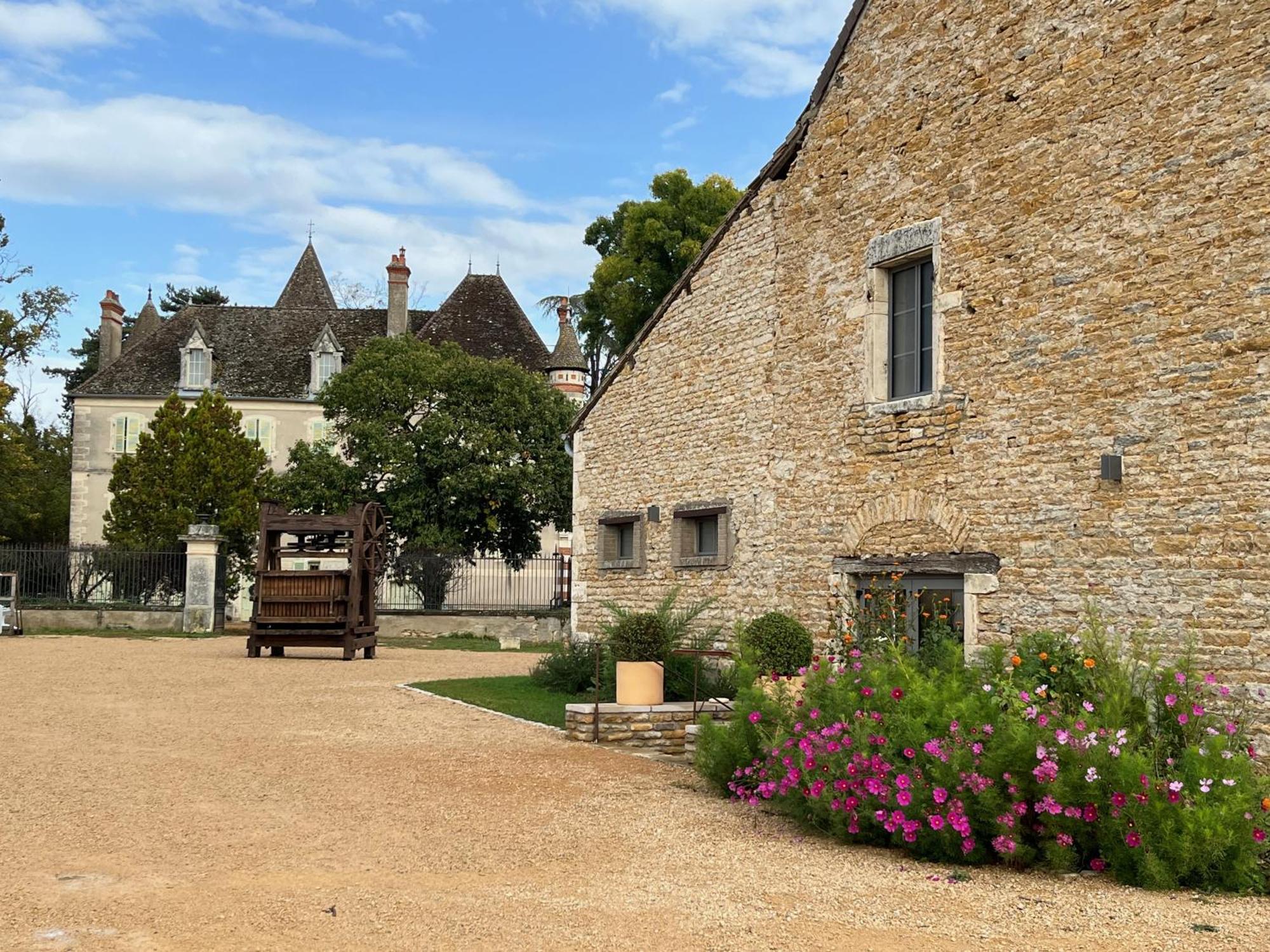 Chateau Du Mauny, Gites Et Chambres D'Hotes En Bourgogne Rosey 外观 照片